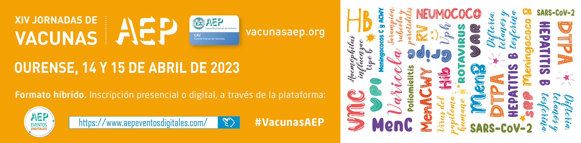 XIV Jornadas de Vacunas CAV-AEP